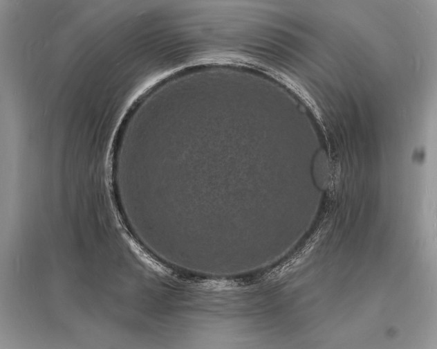 X0000096391037200801241257