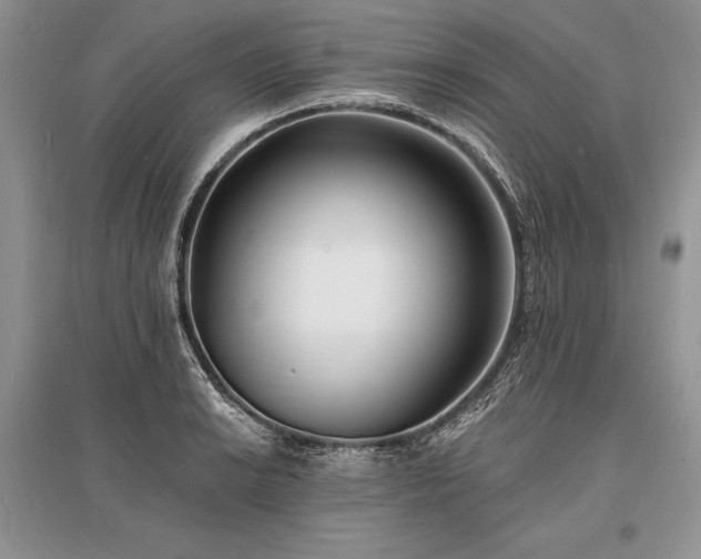 X0000096391038200801241257