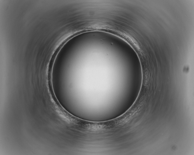 X0000096391039200801241257