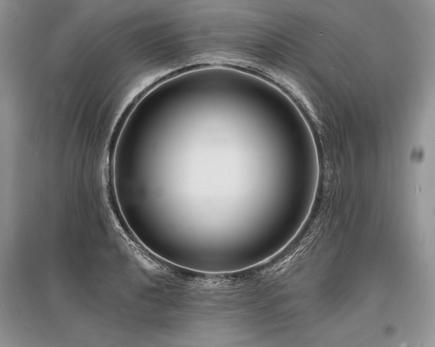X0000096391040200801241257