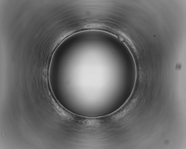 X0000096391041200801241257