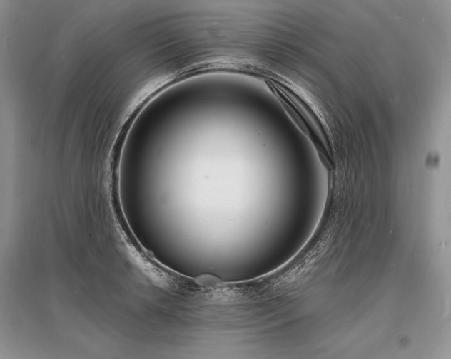 X0000096391042200801241257