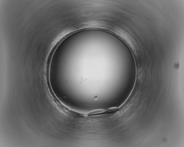 X0000096391043200801241257
