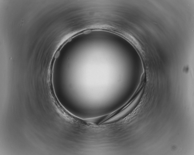 X0000096391044200801241257