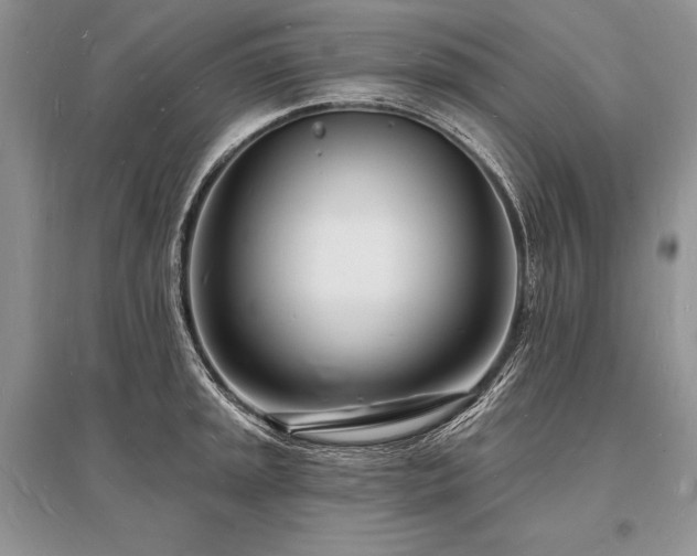 X0000096391045200801241257