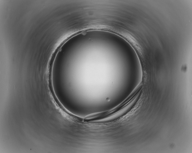 X0000096391046200801241257