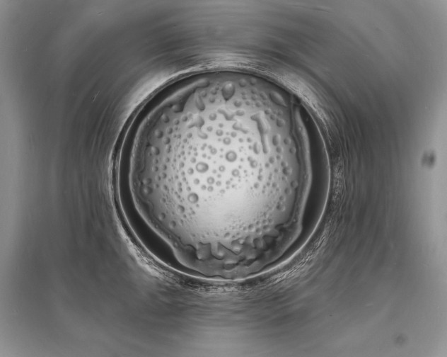 X0000096391047200801241257