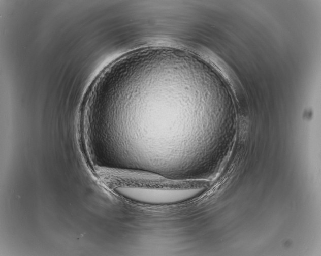 X0000096391048200801241257