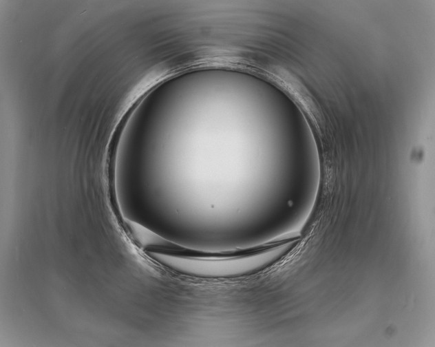 X0000096391050200801241257