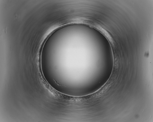 X0000096391051200801241257
