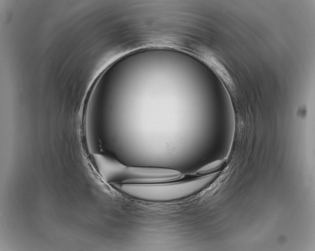 X0000096391052200801241257