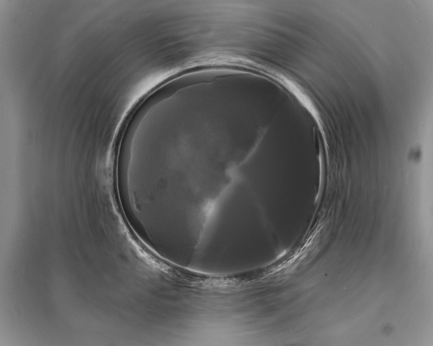 X0000096391053200801241257