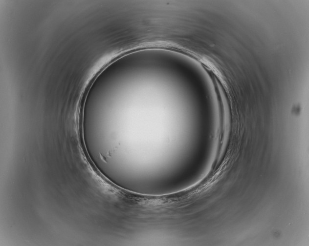 X0000096391054200801241257