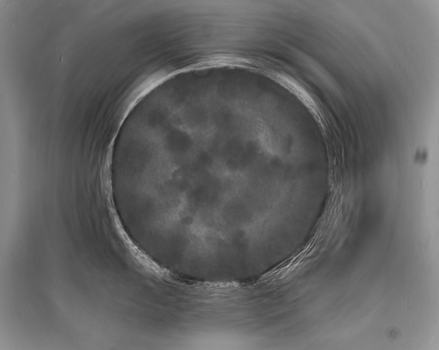 X0000096391055200801241257
