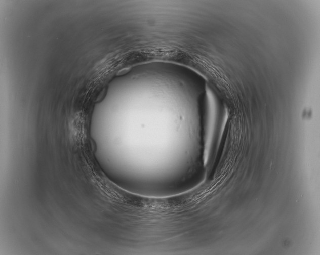 X0000096391058200801241256