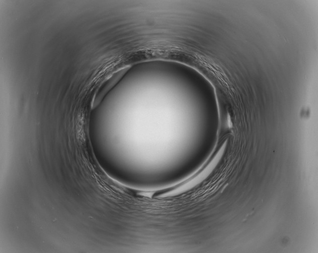 X0000096391060200801241256