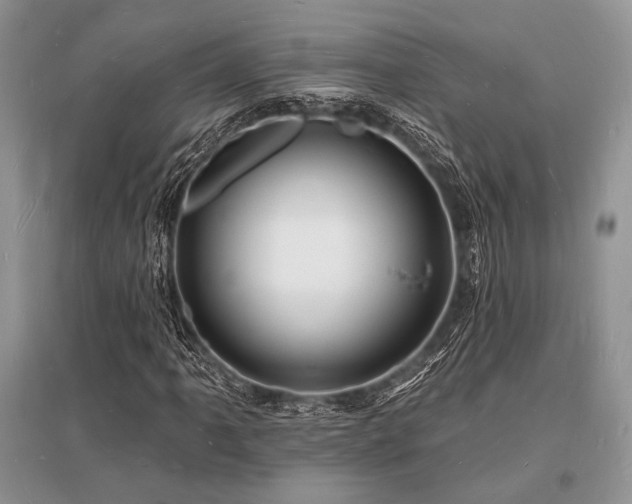 X0000096391061200801241256