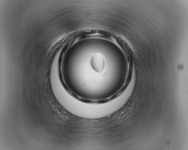 X0000096391064200801241256