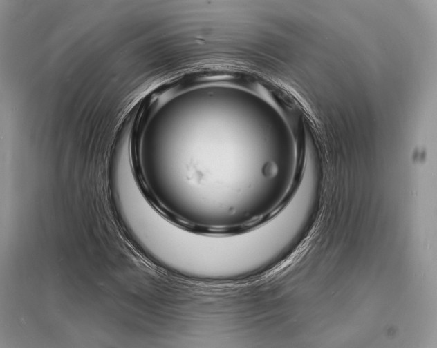 X0000096391065200801241256