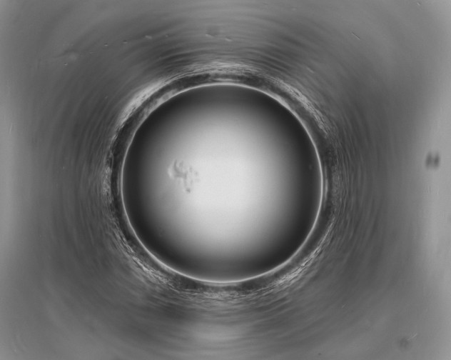 X0000096391066200801241256