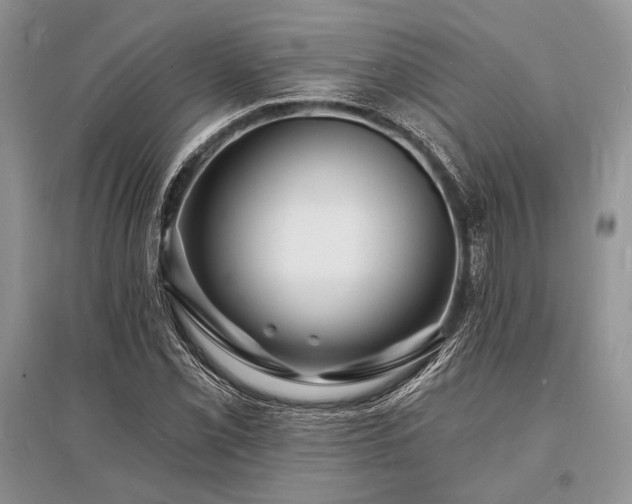 X0000096391069200801241256