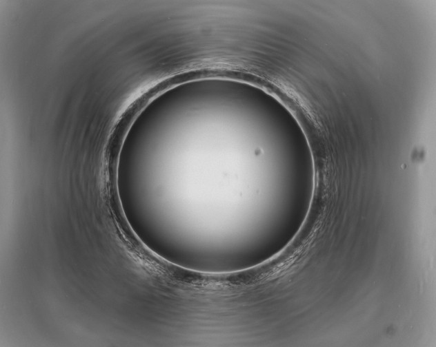 X0000096391070200801241256