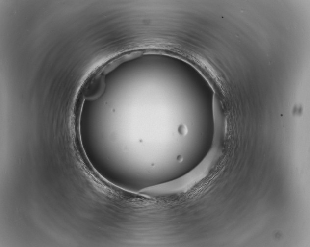 X0000096391072200801241256