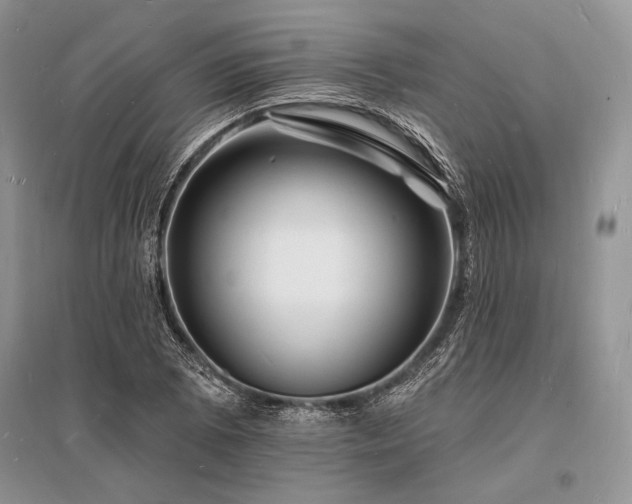 X0000096391073200801241256