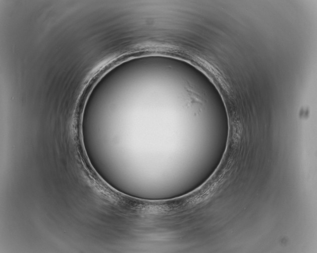 X0000096391074200801241256
