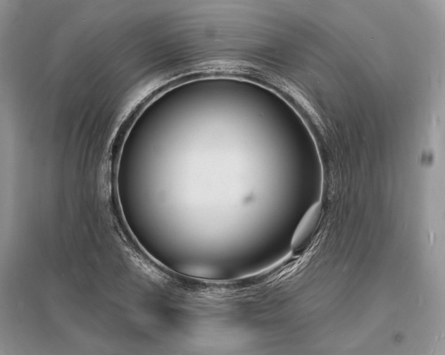 X0000096391075200801241256