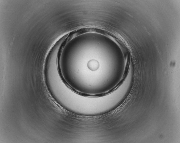 X0000096391076200801241256