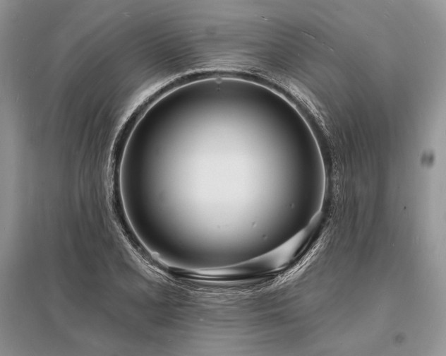 X0000096391077200801241256