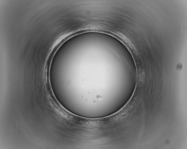 X0000096391078200801241256