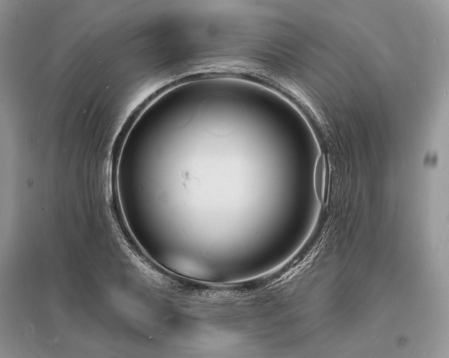 X0000096391079200801241256