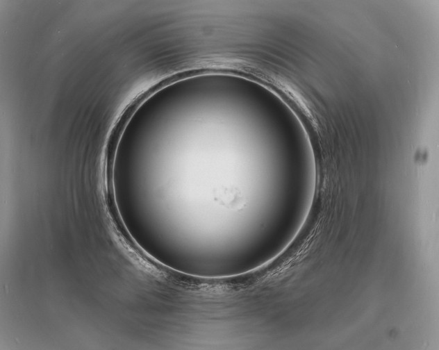 X0000096391080200801241256
