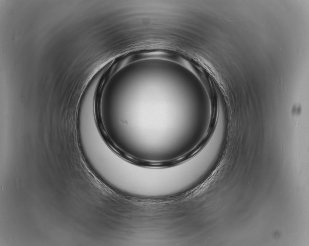 X0000096391081200801241256