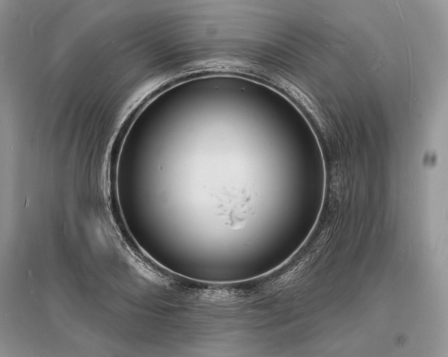 X0000096391082200801241256