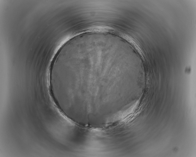 X0000096391083200801241256