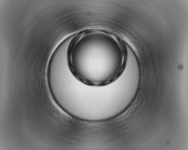 X0000096391084200801241256