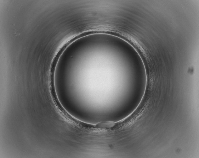 X0000096391085200801241256