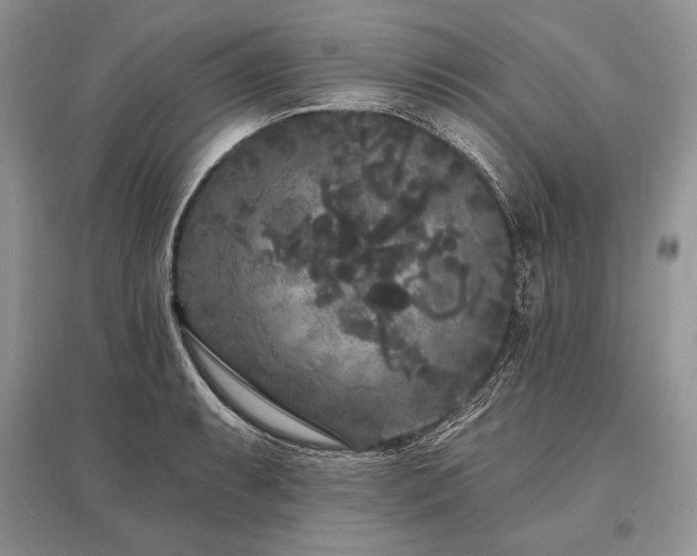 X0000096391087200801241256