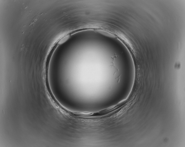 X0000096391088200801241256