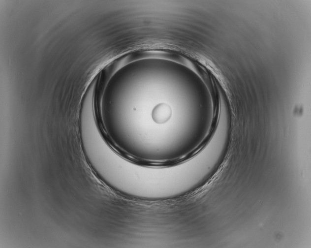 X0000096391089200801241256