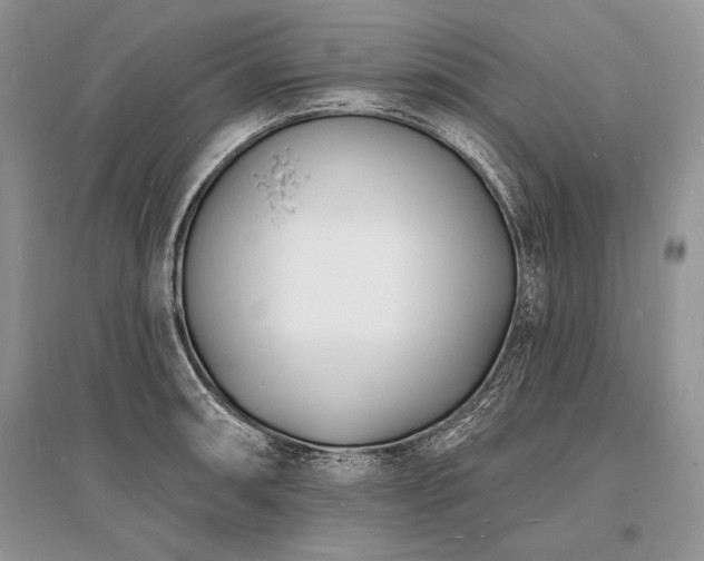 X0000096391090200801241256