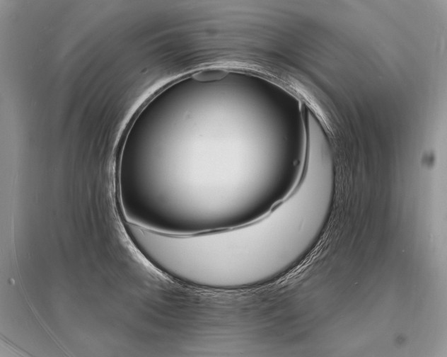 X0000096391092200801241256