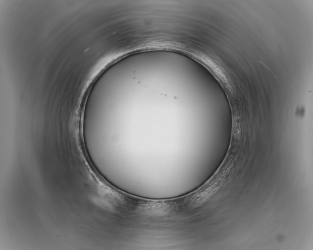 X0000096391094200801241256