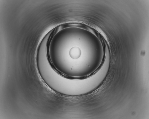 X0000096391096200801241256