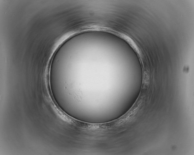 X0000096391098200801241256