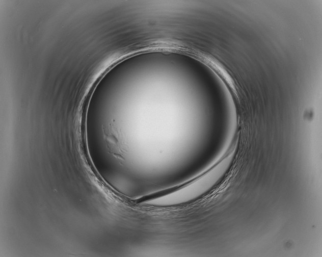 X0000096391099200801241256