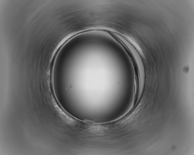 X0000096391100200801241256